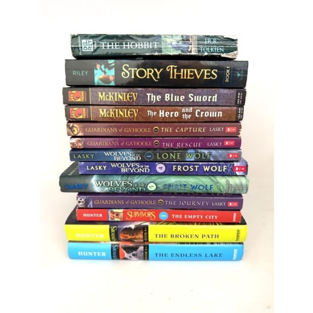 20 Fantasy Book Lot Brandon Mull Fablehaven Beyonders Hunter Lasky Tolkien